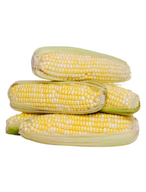 Vegetable Seeds/Corn