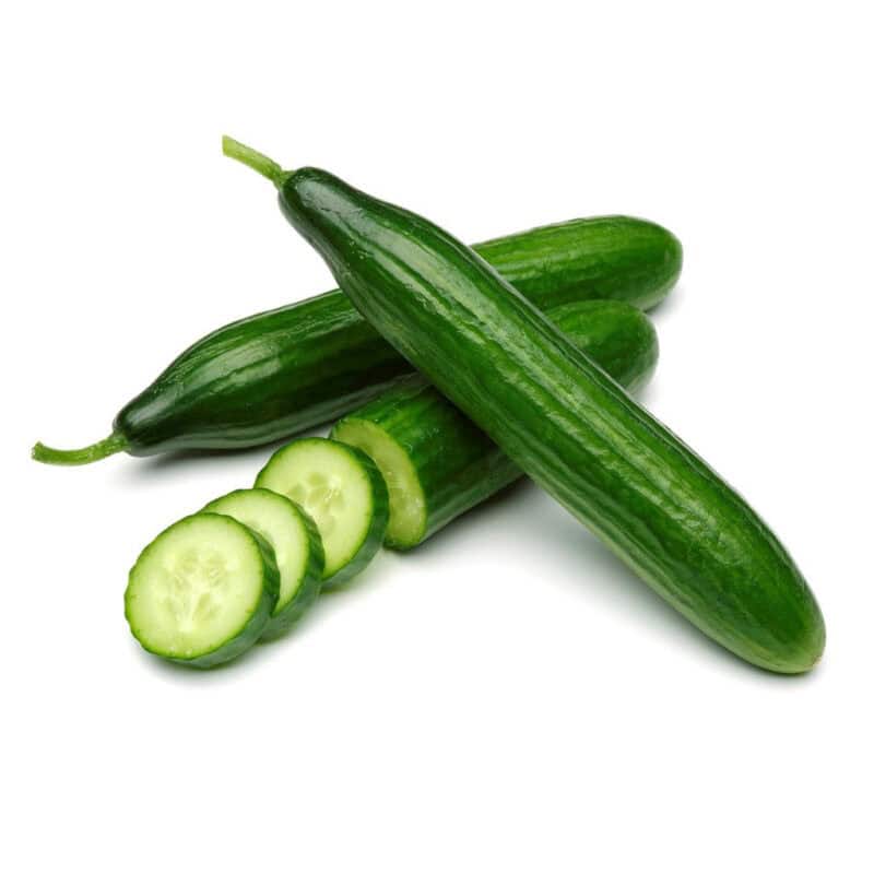 Early Spring Burpless Cucumber Seed (Cucumis sativus)