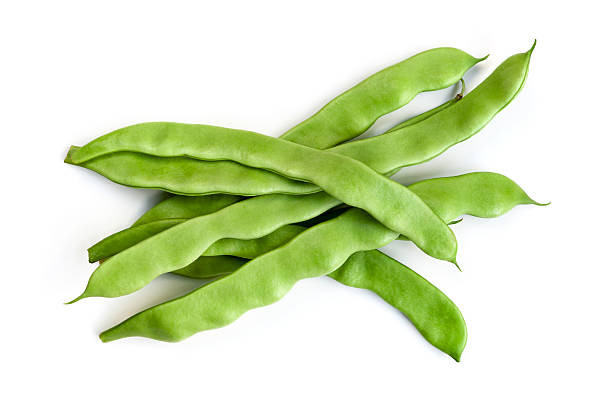 Pole Bean - Kentucky Wonder (Brown) Bean Seed (Phaseolus vulgaris)