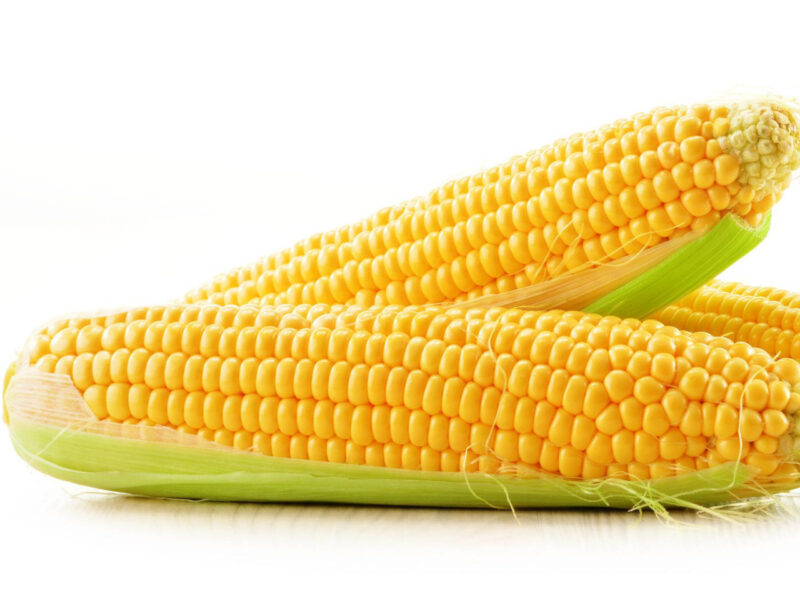 Golden Bantam 8 Row (O.P.) Corn Seed - Image 3