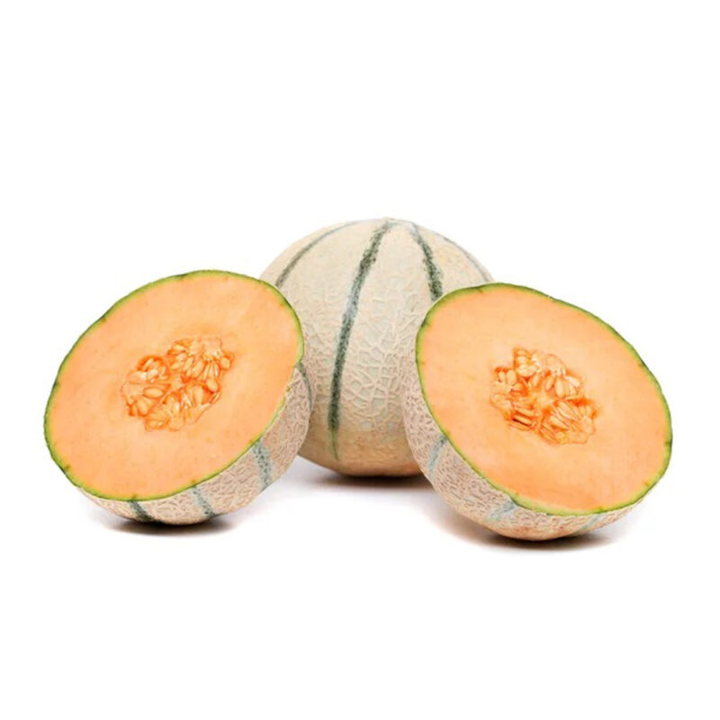 Honey Rock Melon Heirloom Seed - Image 3