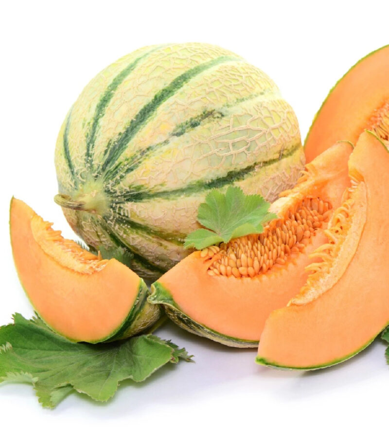 Honey Rock Melon Heirloom Seed - Image 2