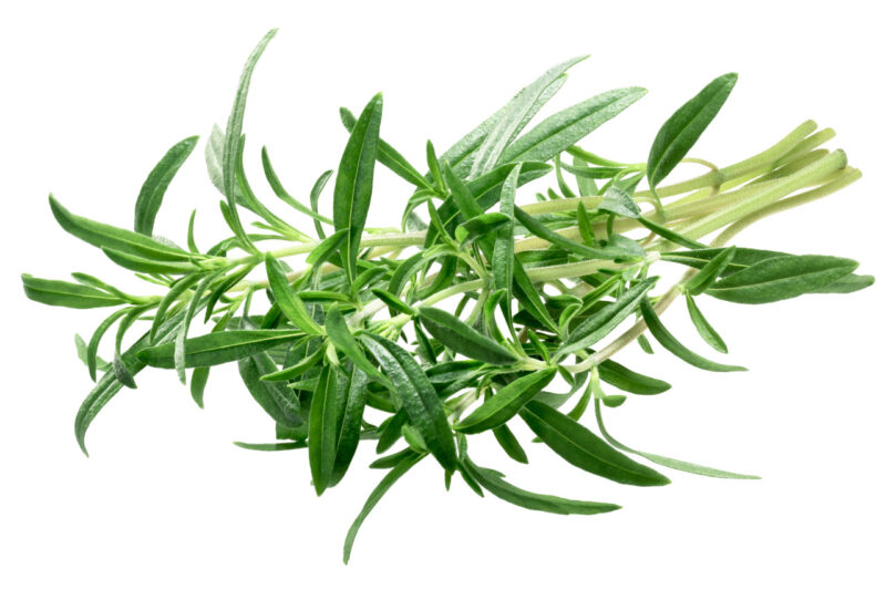 Summer Savory Herb Seed