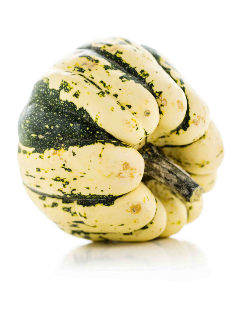 Sweet Dumpling Winter Squash Heirloom Seed - Image 3