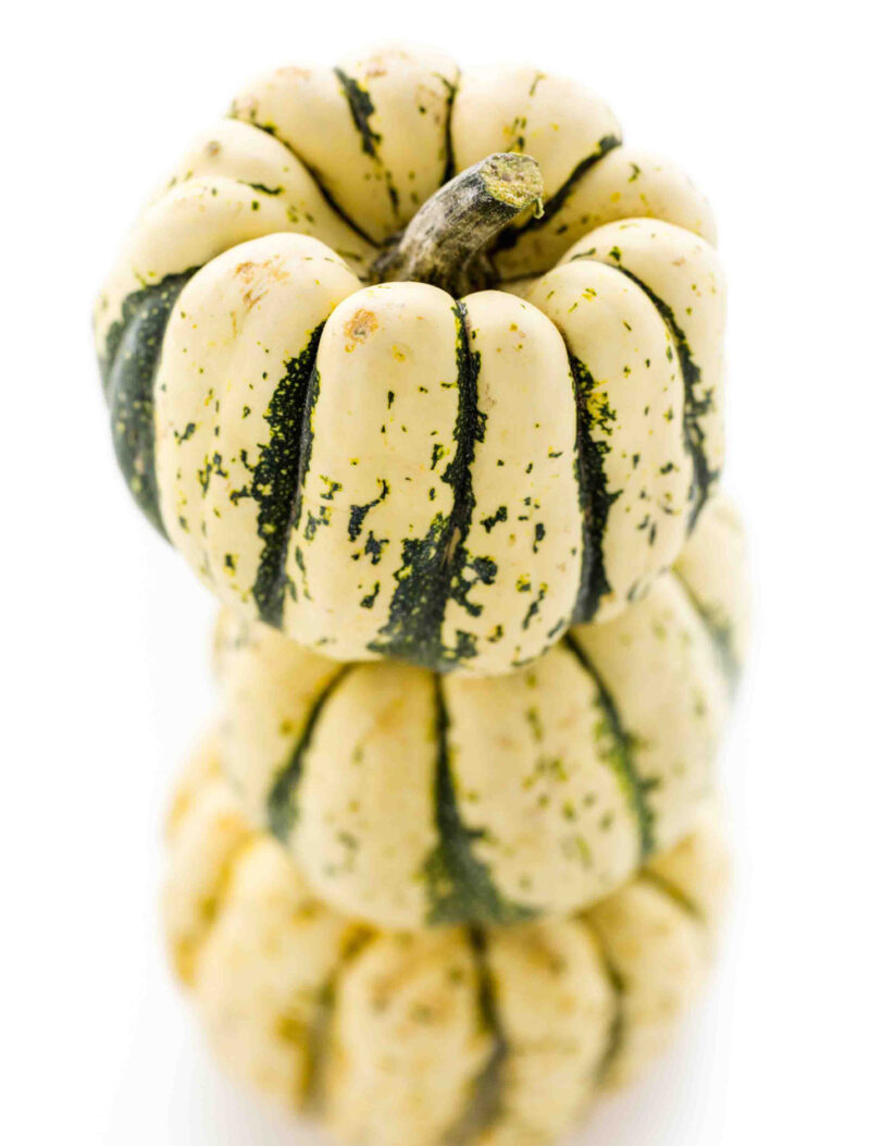 Vegetable Seeds/Squash/Winter Hybrid