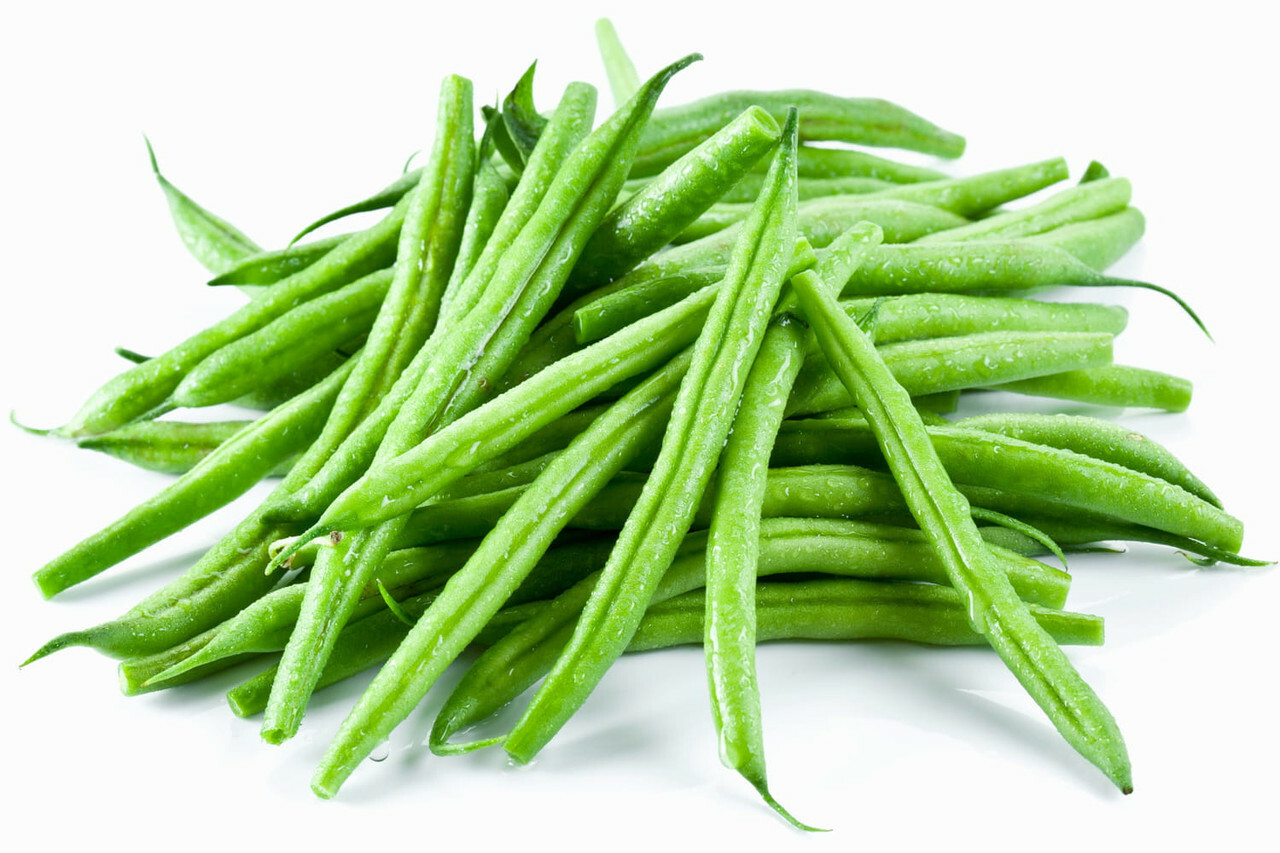 Bush