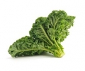 Kale