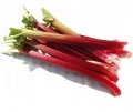 Rhubarb